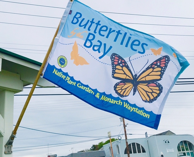 A flag adorned with various butterflies